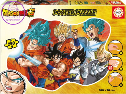 EDUCA Poster puzzle Dragon Ball 250 dílků