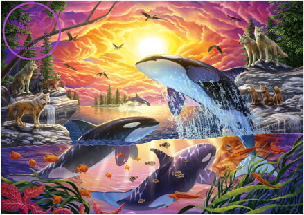 EDUCA Puzzle Kosatky a vlci 4000 dílků