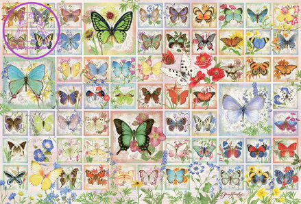 COBBLE HILL Puzzle Motýli a květiny 2000 dílků