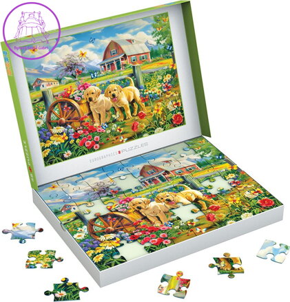 EUROGRAPHICS Puzzle Connecting Pieces: Štěňata na jaře 48 dílků