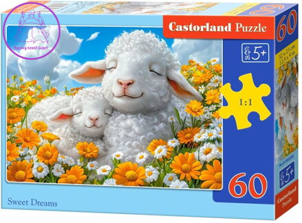 CASTORLAND Puzzle Sladké snění 60 dílků
