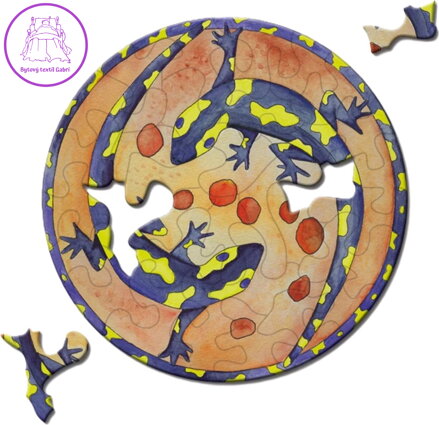 CURIOSI Kulaté puzzle Picoli: Mlok 33 dílků