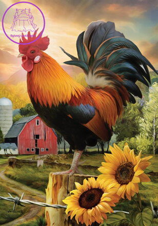 NORIMPEX Diamantové malování Kohout na farmě 30x40cm