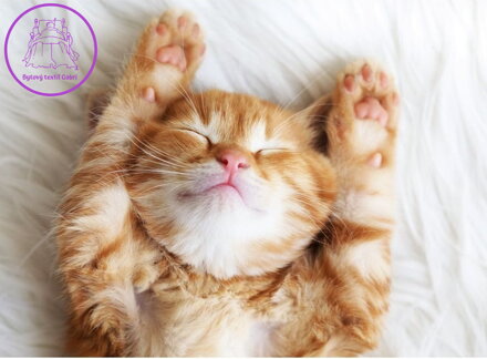 RAVENSBURGER Puzzle Spící chlupáček 500 dílků