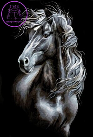 NORIMPEX Diamantové malování Černobílý kůň - kresba 30x40cm