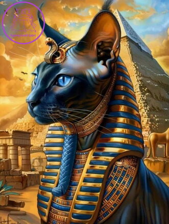 NORIMPEX Diamantové malování Kočka sphynx 30x40cm