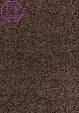 Kusový koberec Dream Shaggy 4000 brown