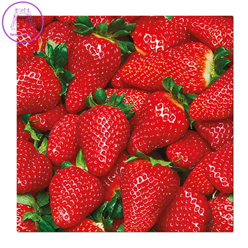 Obrúsky PAW L 33x33cm Raw Strawberries