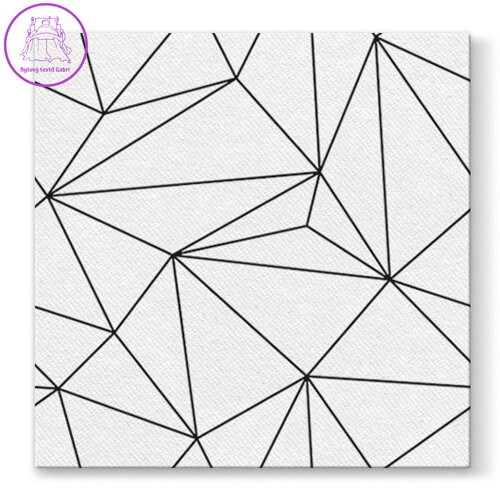 Ubrousky PAW AIRLAID L 40x40cm Geometric Lines White Ubrousky PAW AIRLAID L 40x40cm Geometric Lines White
