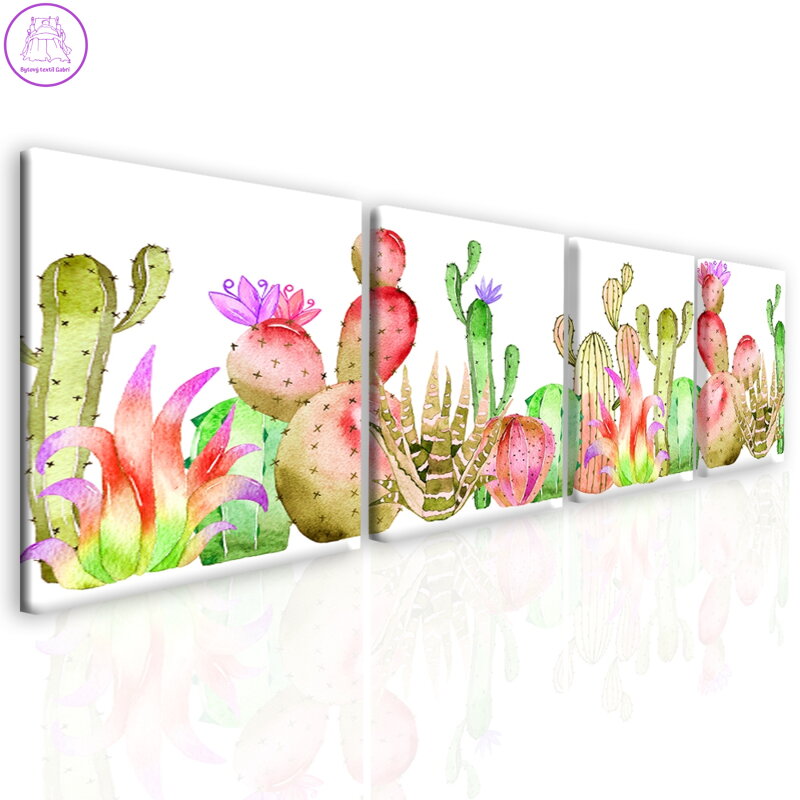 Čtyřdílný obraz Barevné kaktusy