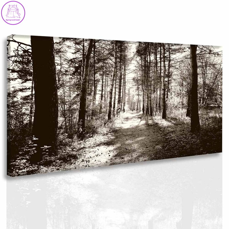Černobílý obraz Lesní pěšina