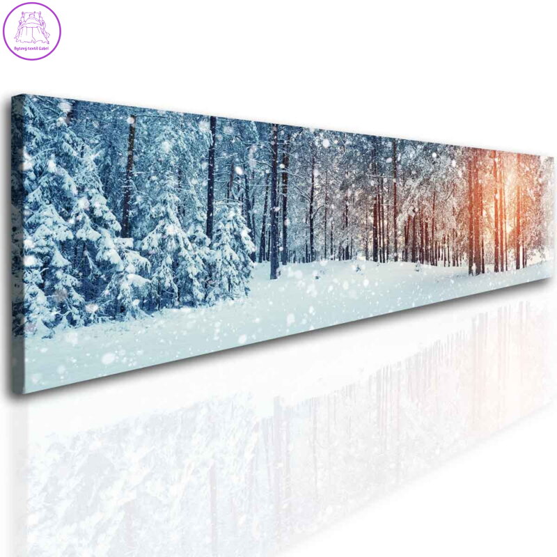 Panoramatický les v zimě