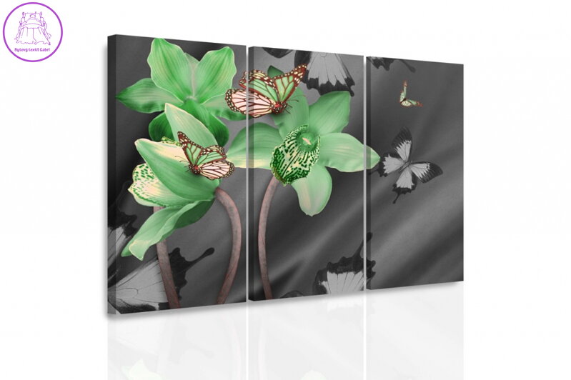 Vícedílný obraz - Zelená orchidej a motýli