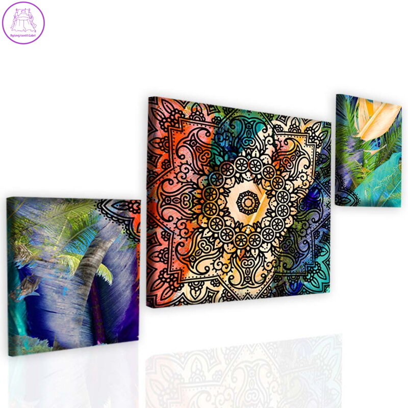 Obraz exotická mandala I