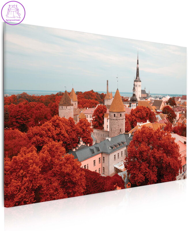 Obraz Město Tallinn