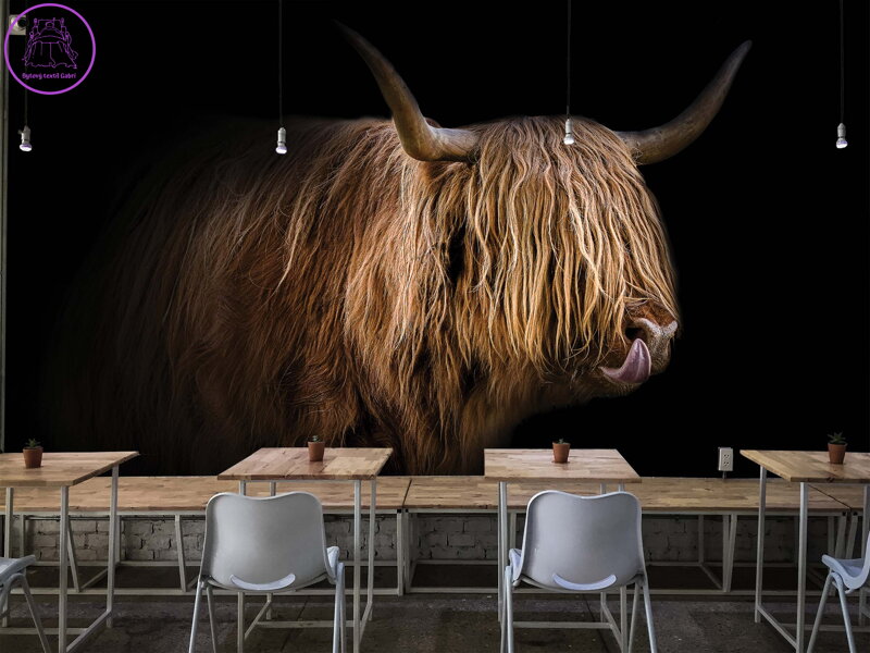 Tapeta Highland Cattle