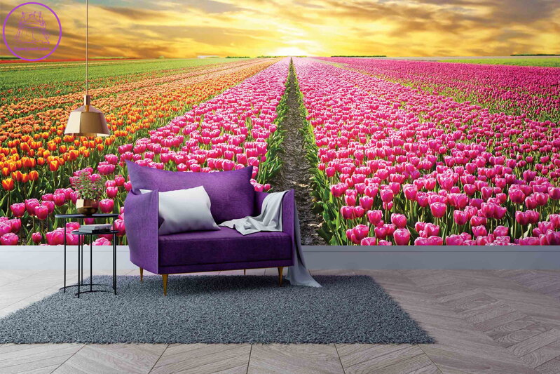 Tapeta Pole tulipánů