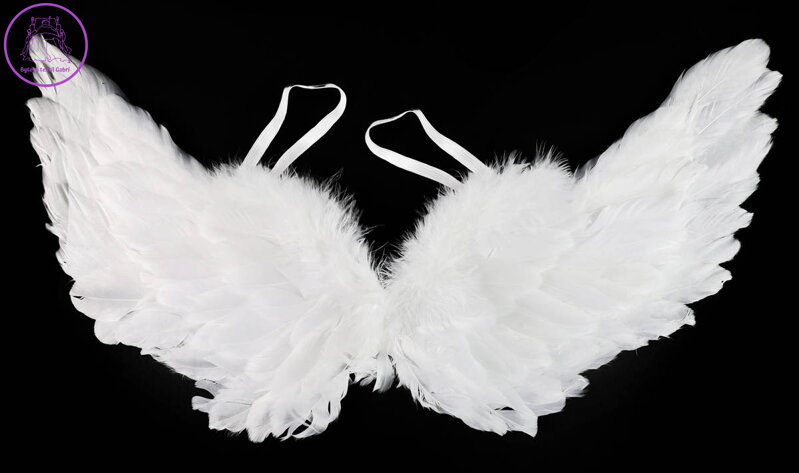 KARNEVAL Křídla andělská s peřím 50cm *KARNEVALOVÝ DOPLNĚK*