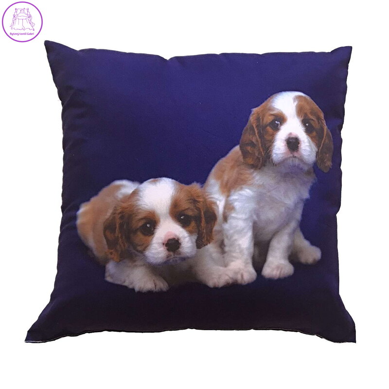 Dadka Fotopolštářek Dva béžovohnědí psi 40x40 cm
