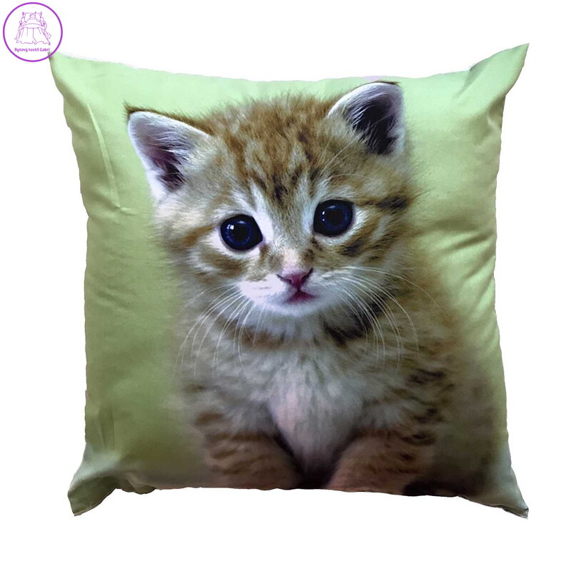 Dadka Fotopolštářek Kotě na zeleném 40x40 cm