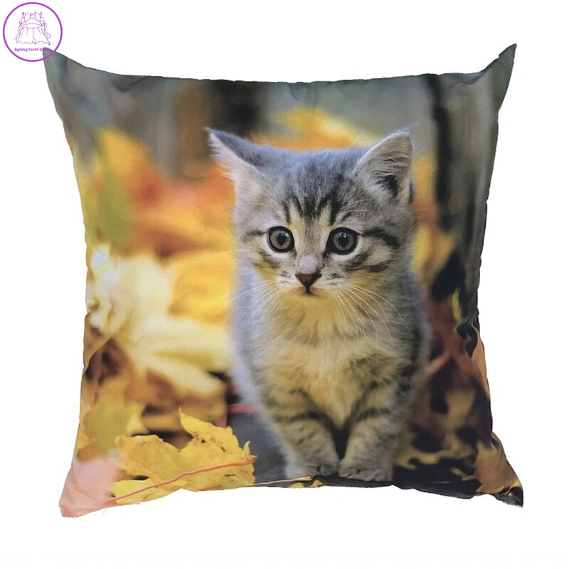 Dadka Fotopolštářek Kotě s listím 40x40 cm