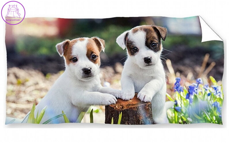 Carbotex Osuška Bráškové Jack Russell Teriér 70x140 cm