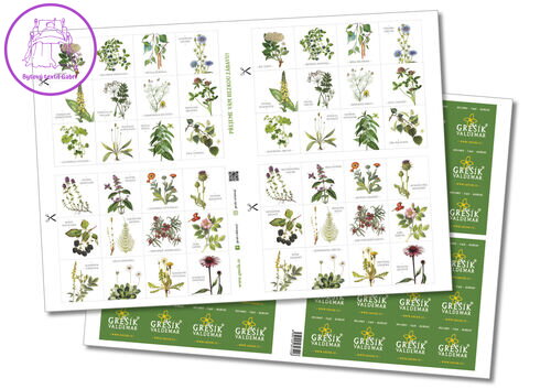 Grešík pexeso bylinky