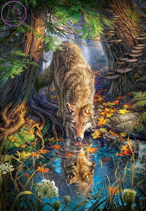 CASTORLAND Puzzle Pijící vlk 1500 dílků CASTORLAND Puzzle Pijící vlk 1500 dílků