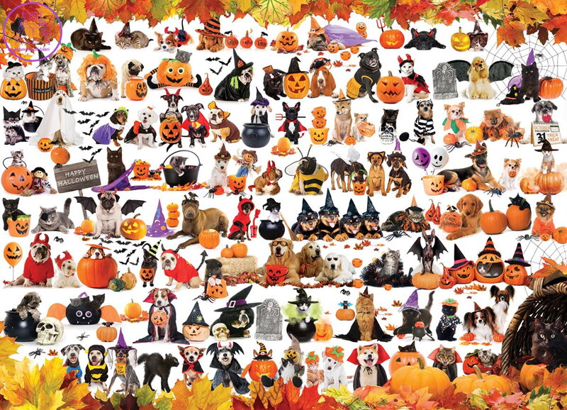 EUROGRAPHICS Puzzle Halloweenská zvířátka 1000 dílků EUROGRAPHICS Puzzle Halloweenská zvířátka 1000 dílků