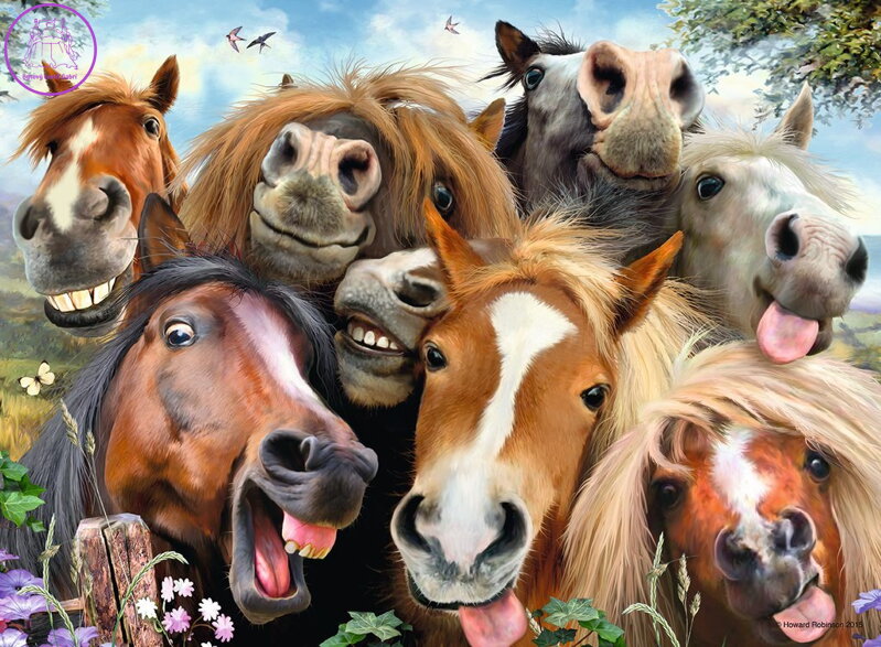 RAVENSBURGER Puzzle Koňská selfie 500 dílků