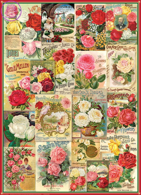 EUROGRAPHICS Puzzle Katalog semínek: Růže 1000 dílků EUROGRAPHICS Puzzle Katalog semínek: Růže 1000 dílků
