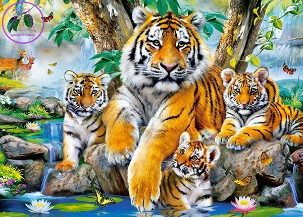 CASTORLAND Puzzle Tygři u řeky 120 dílků CASTORLAND Puzzle Tygři u řeky 120 dílků