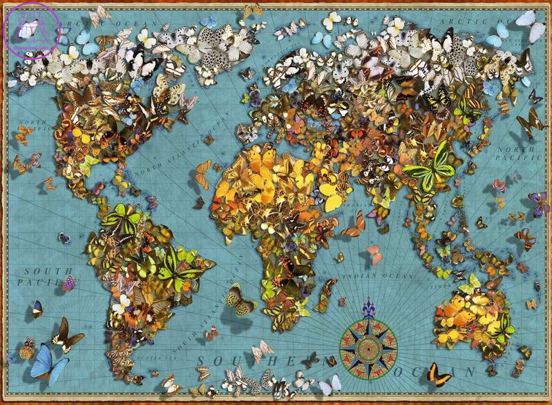 RAVENSBURGER Puzzle Motýlí svět 500 dílků RAVENSBURGER Puzzle Motýlí svět 500 dílků