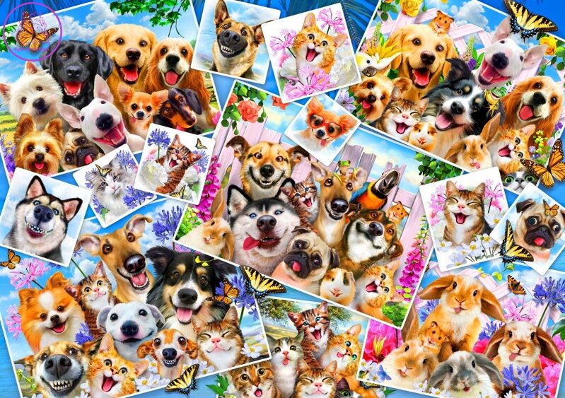 BLUEBIRD Puzzle Koláž zvířecích selfie 1000 dílků BLUEBIRD Puzzle Koláž zvířecích selfie 1000 dílků