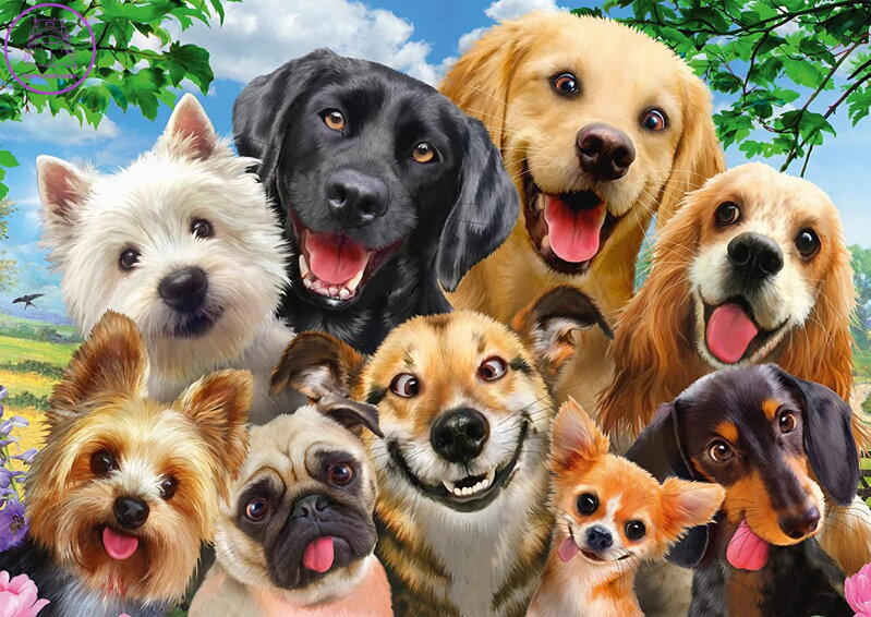 SCHMIDT Puzzle Psí selfie 500 dílků SCHMIDT Puzzle Psí selfie 500 dílků