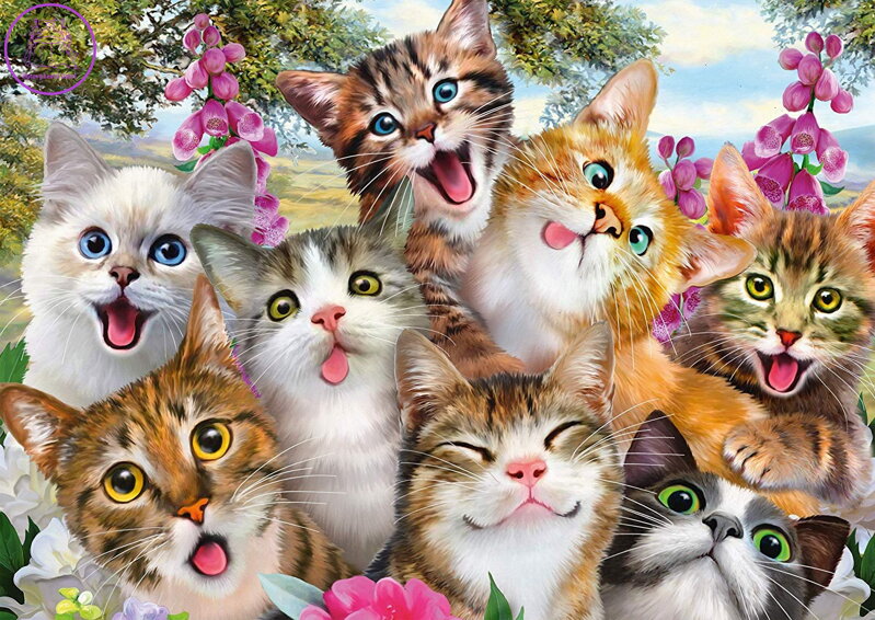 SCHMIDT Puzzle Kočičí selfie 500 dílků SCHMIDT Puzzle Kočičí selfie 500 dílků