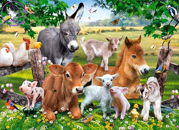 CASTORLAND Puzzle Na farmě 100 dílků