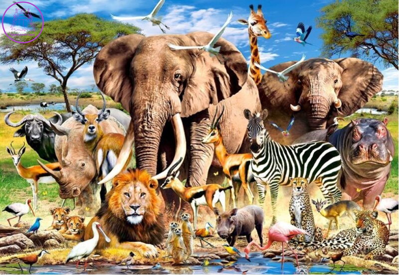 CASTORLAND Puzzle Zvířata ze savany 1500 dílků CASTORLAND Puzzle Zvířata ze savany 1500 dílků