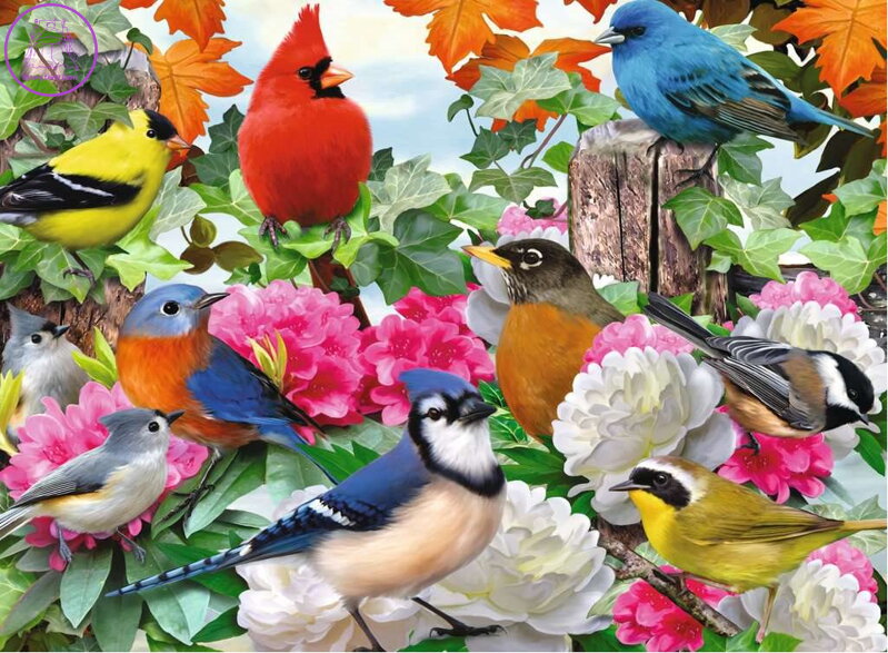 RAVENSBURGER Puzzle Zahradní ptáci 500 dílků RAVENSBURGER Puzzle Zahradní ptáci 500 dílků