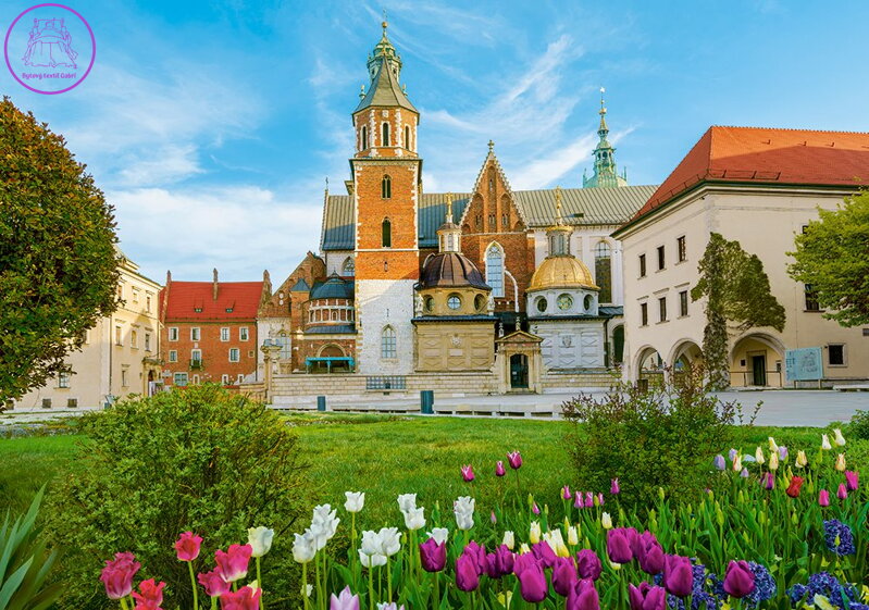 CASTORLAND Puzzle Hrad Wawel v Krakově, Polsko 500 dílků CASTORLAND Puzzle Hrad Wawel v Krakově, Polsko 500 dílků