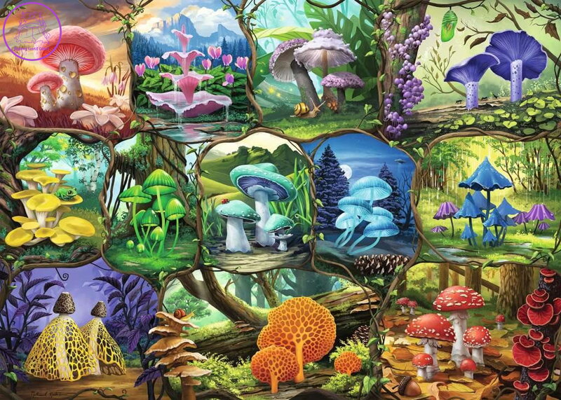 RAVENSBURGER Puzzle Nádherné houby 1000 dílků