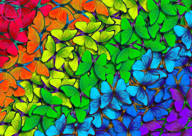 ENJOY Puzzle Duhoví motýlci 1000 dílků ENJOY Puzzle Duhoví motýlci 1000 dílků