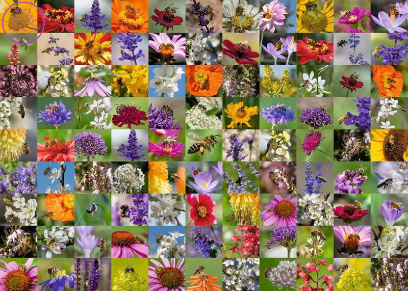 RAVENSBURGER Puzzle Včely na květinách 1000 dílků RAVENSBURGER Puzzle Včely na květinách 1000 dílků