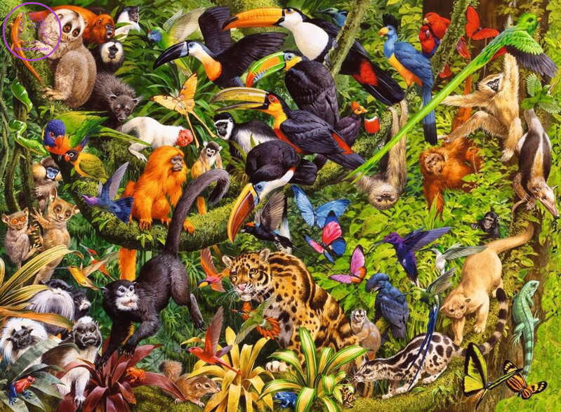 RAVENSBURGER Puzzle Deštný prales XXL 200 dílků RAVENSBURGER Puzzle Deštný prales XXL 200 dílků