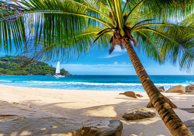 CASTORLAND Puzzle Dovolená na Seychelách 500 dílků CASTORLAND Puzzle Dovolená na Seychelách 500 dílků