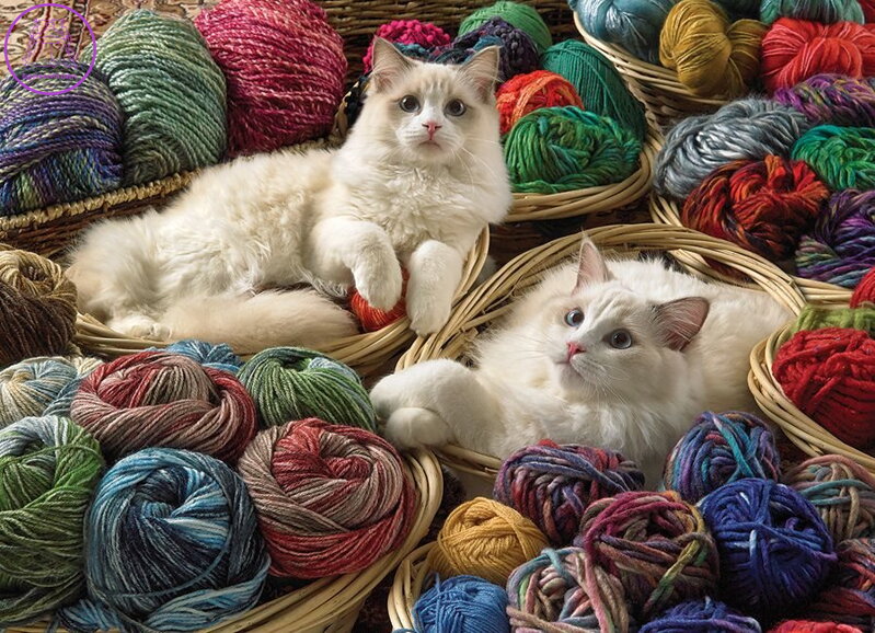 COBBLE HILL Puzzle Ragdoll 1000 dílků COBBLE HILL Puzzle Ragdoll 1000 dílků