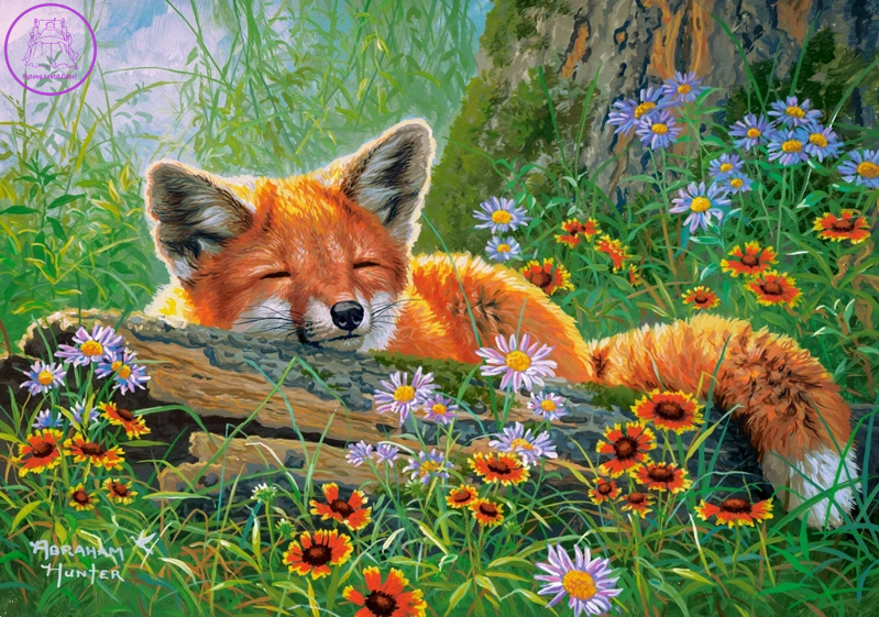 CASTORLAND Puzzle Liščí snění 500 dílků CASTORLAND Puzzle Liščí snění 500 dílků
