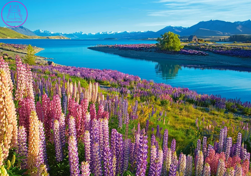 CASTORLAND Puzzle Jezero Tekapo, Nový Zéland 500 dílků CASTORLAND Puzzle Jezero Tekapo, Nový Zéland 500 dílků