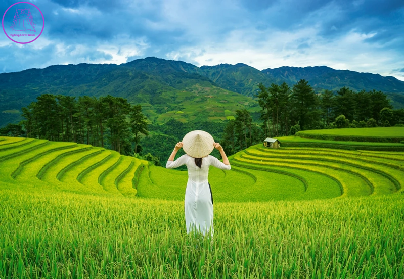 CASTORLAND Puzzle Rýžová pole ve Vietnamu 1000 dílků CASTORLAND Puzzle Rýžová pole ve Vietnamu 1000 dílků