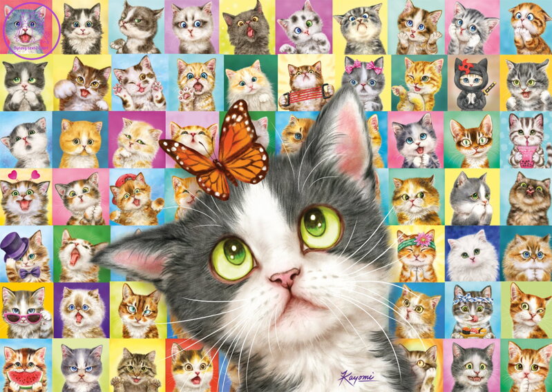 SCHMIDT Puzzle Kočičí výrazy 1000 dílků SCHMIDT Puzzle Kočičí výrazy 1000 dílků